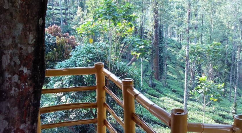 Jungle Jive Treehouse And Farm House Munnar Exterior foto