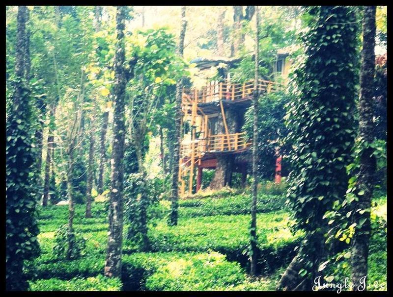 Jungle Jive Treehouse And Farm House Munnar Exterior foto