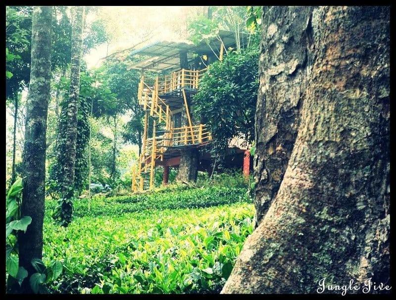 Jungle Jive Treehouse And Farm House Munnar Exterior foto