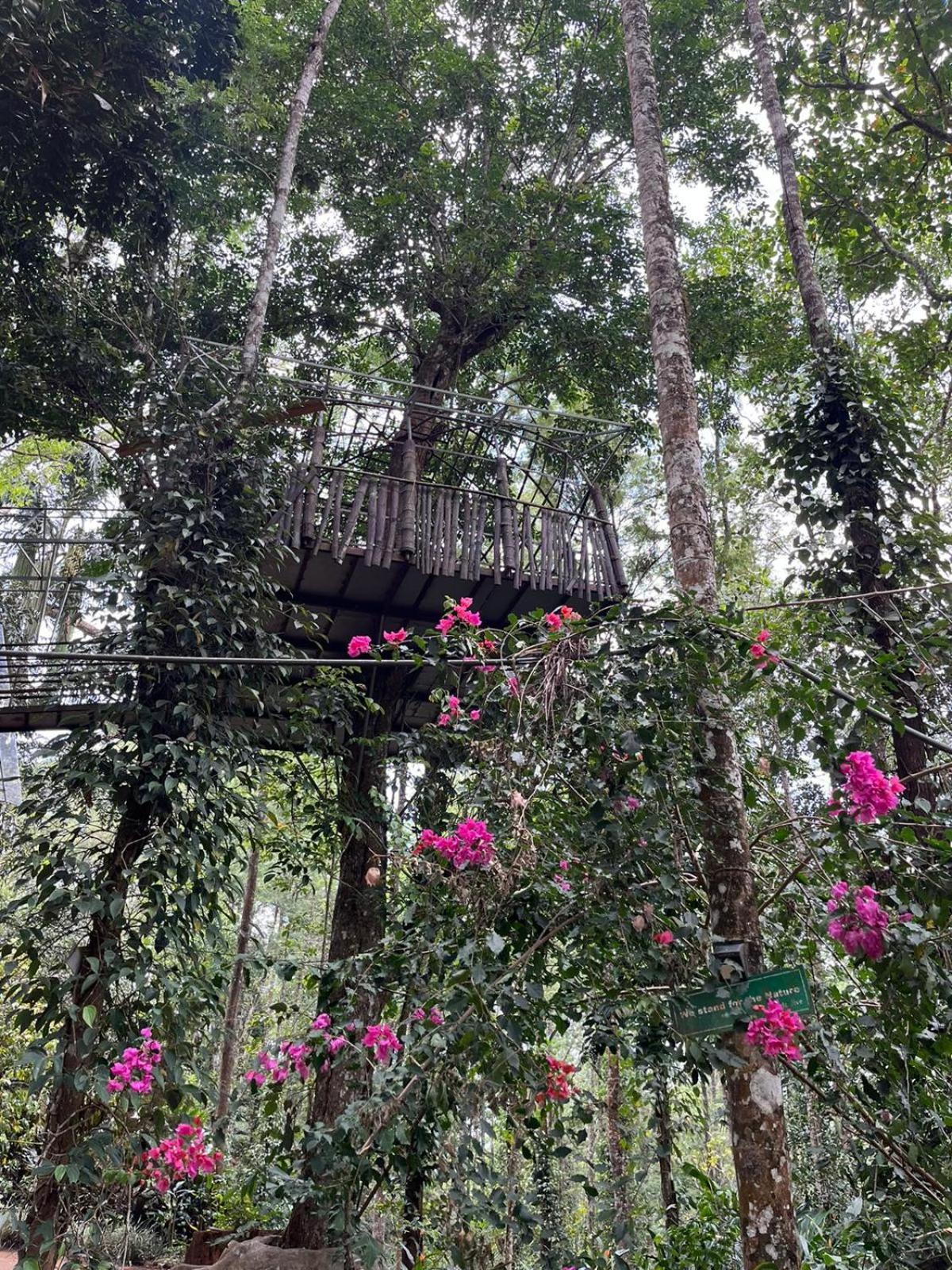Jungle Jive Treehouse And Farm House Munnar Exterior foto