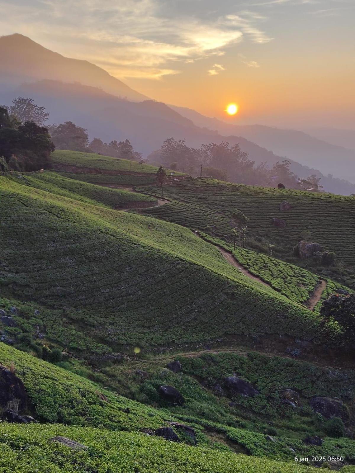 Jungle Jive Treehouse And Farm House Munnar Exterior foto