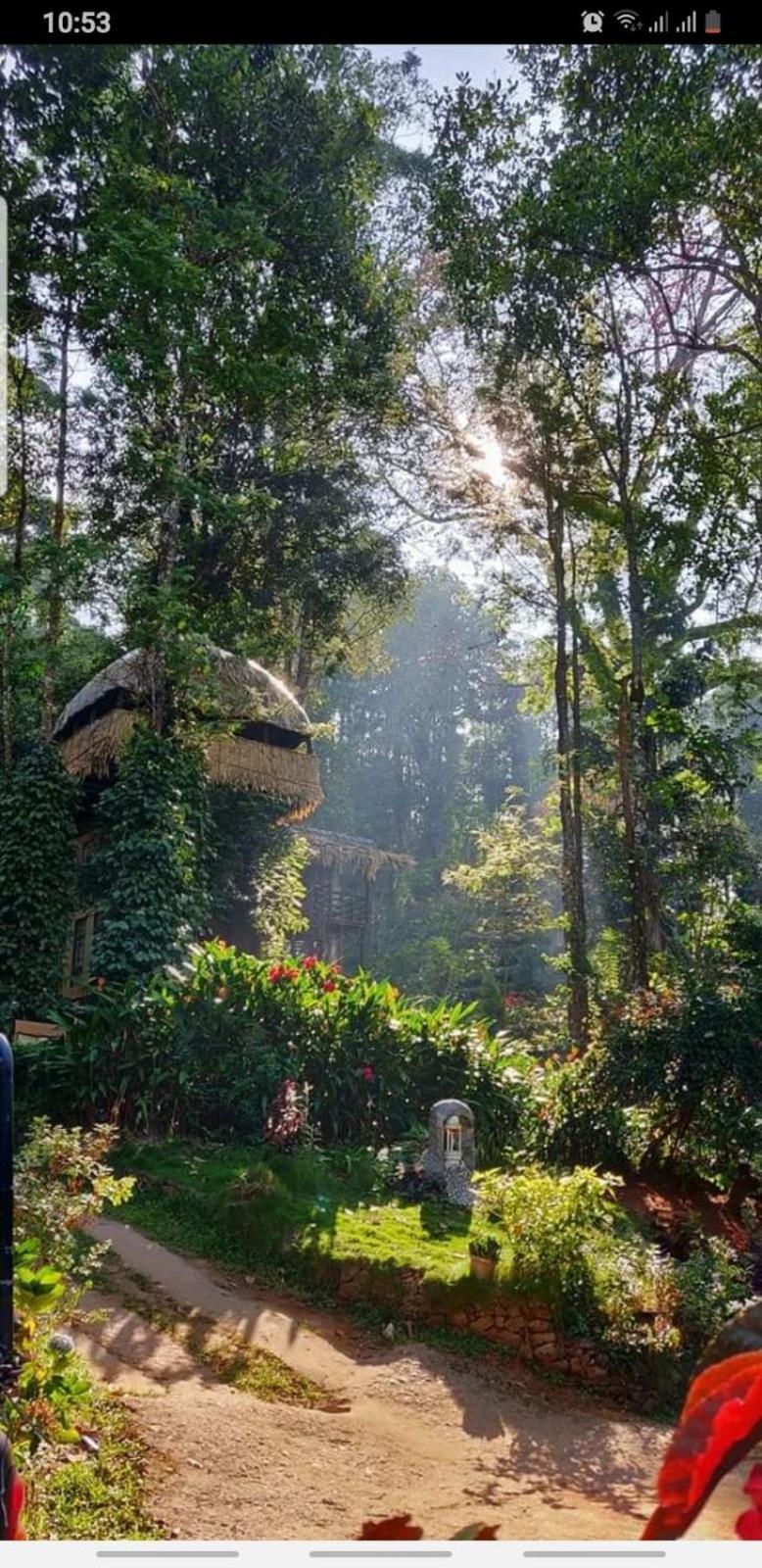 Jungle Jive Treehouse And Farm House Munnar Exterior foto